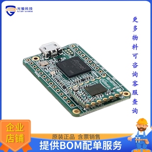 DEMOBGT60TR13CTOBO1【EVAL BOARD FOR BGT60TR13C】射频评估板