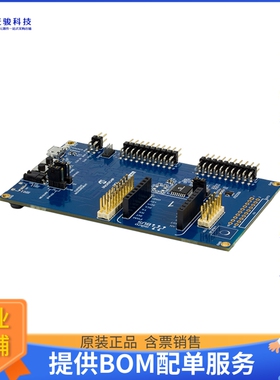 DM320205[SAM L11 XPLAIND PRO ATSAML11E16A]评估板