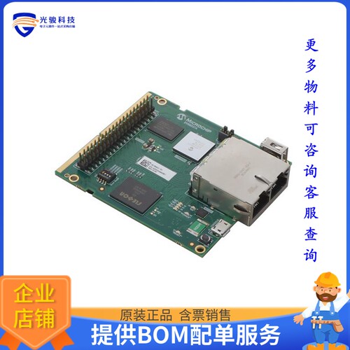 EV09D37A【EVB-LAN9662】评估和演示板套件