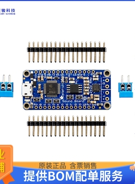 2217【FX SOUND BOARD 2X2W WAV/OGG 16MB】评估和演示板套件
