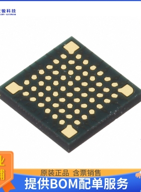 R5F51117ADLF#UA微控器《IC MCU 32BIT 384KB FLASH 64FLGA》