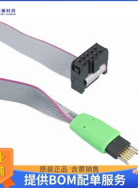 TC2050-IDC-NL【PLUG-OF-NAILS 10-PIN W/O LEGS 8