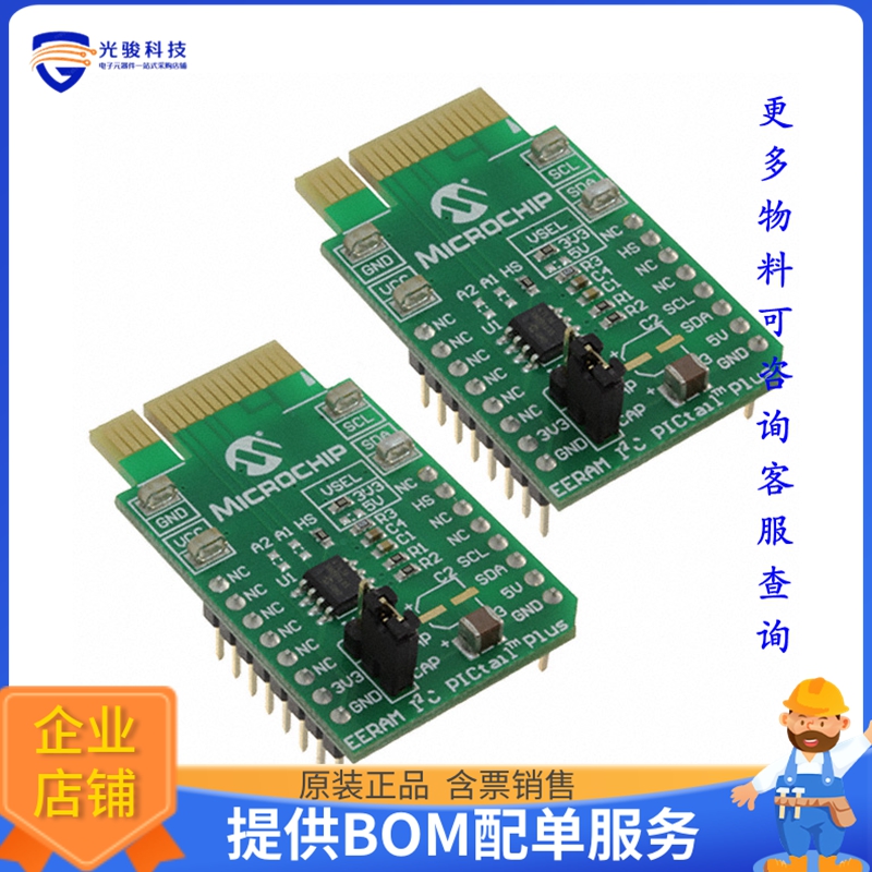 AC500100【EERAM I2C PICTAIL KIT】评估和演示板套件