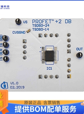 PROF2BTS70041EPPDBTOBO1【EVAL BOARD FOR BTS7004-1EPP】扩展