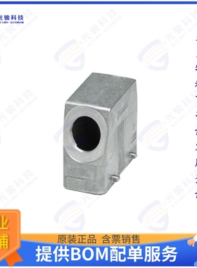 1412651连接器 CONN HOOD SIDE ENTRY SZB16 PG21