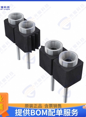 SS-110-TT-2-N 连接器CONN RCPT .100  10POS TIN T/H