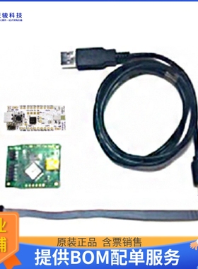 ES2832AA2-EVK【EVALUATION KIT (BOARD+DEBUGGER)】射频评估板