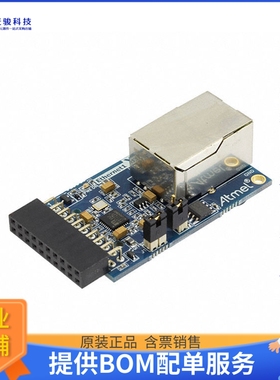 ATETHERNET1-XPRO【KIT ETHERNET PRO】开发板、编程器配件