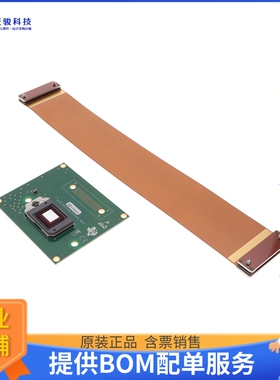 DLPLCR55EVM[EVAL BOARD FOR DLPC900]评估板