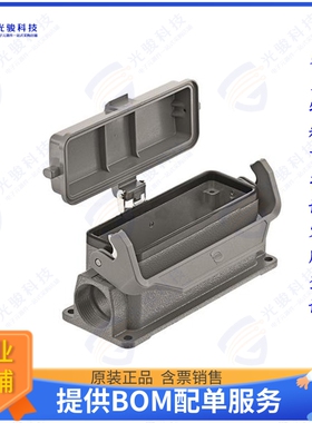 9300241295连接器 CONN BASE SIDE ENTRY SZ24B PG21