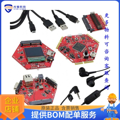 KIT_XMC45_AE4_002【HEXAGON APPL KIT XMC4500 EVAL BD】嵌入式M
