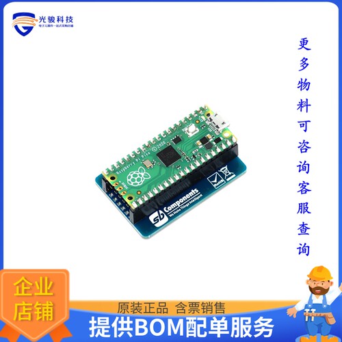 SKU21499[PICO ZERO BOARD]评估板
