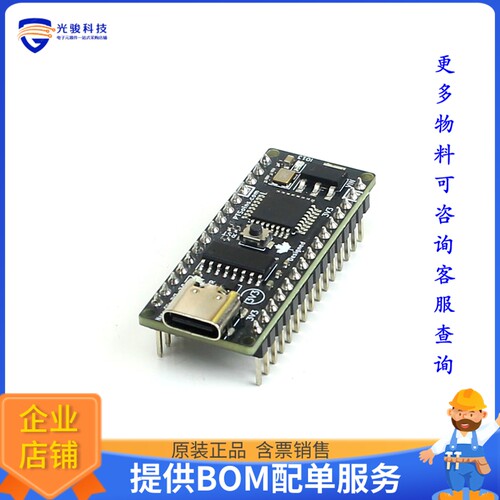 PTS-00205-201[NANO DEV BOARD 3.3V LOGIC LEVEL]评估板