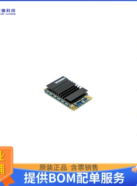 NBR-0093【NEBRA SX1303 LORA CONCENTRATOR (】射频评估板开发