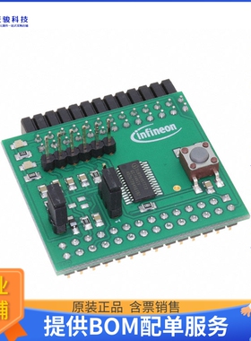 IRIDIUM9645TPMI2CTOBO1【EVAL SLB9645 TPM1.2 RASPBERRYPI】扩