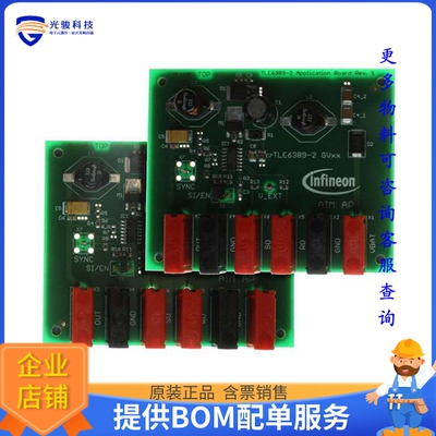 DEMOBOARD TLE 6389-2 GV50【BOARD DEMO FOR TLE 6389-2 GV50】D