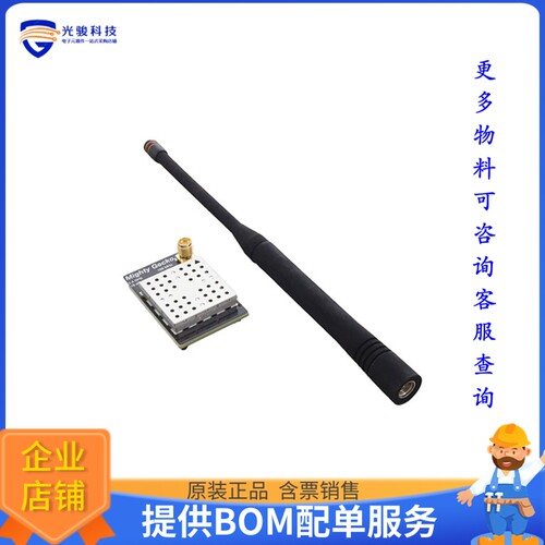 SLWRB4172B[EFR32MG12 2.4 GHZ RADIO BOARD]评估板