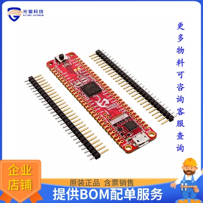EV76S68A【SAME51 CURIOSITY NANO EVALUATION】嵌入式MCU、DSP