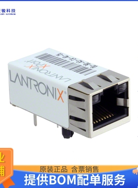 XPP1003000-04R微控器《IC MODULE IPV6 16MB》