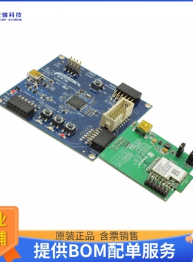 YWIRELESS-RX111【RX111 EVAL BRD】嵌入式MCU、DSP评估板