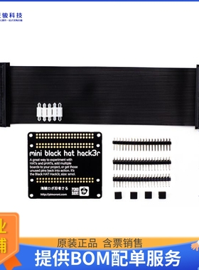 PIM170【MINI BLACK HAT HACK3R SOLDER KIT】扩展板、子卡