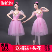 新款 专业舞蹈纱裙芭蕾舞蓬蓬裙天鹅湖演出服成人泡泡袖 芭蕾舞裙TU