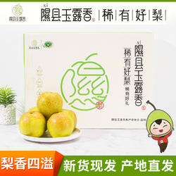 （隰县发货）山西隰县正宗玉露香梨小西天新鲜水果礼盒整箱包邮