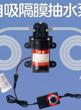 自吸泵抽水泵家用净水器增压泵
