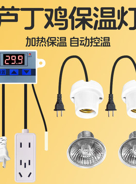 芦丁鸡保温灯小鸡育雏自动控温灯