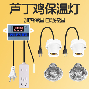 芦丁鸡保温灯自动恒温控温取暖宠物卢丁小鸡育雏饲养箱专用加热灯