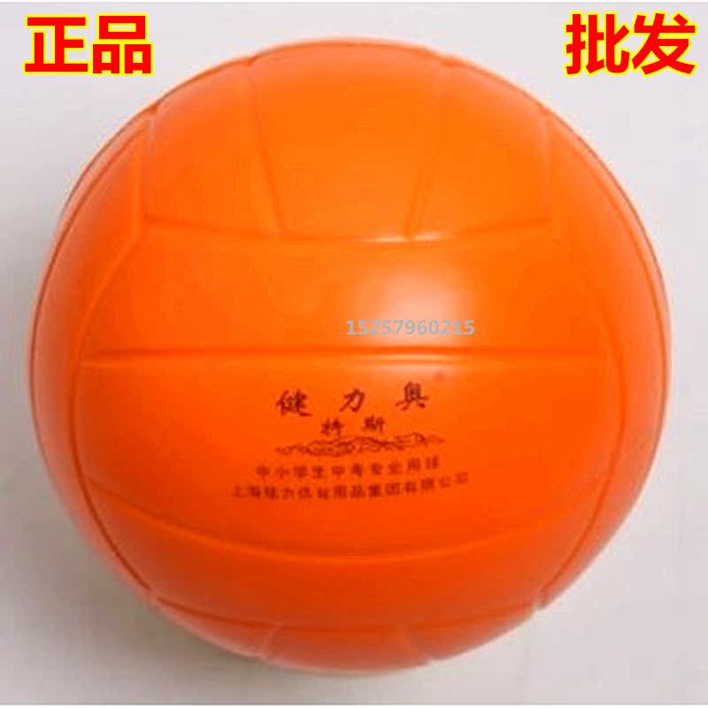 Ballon de volley - Ref 2010205 Image 1