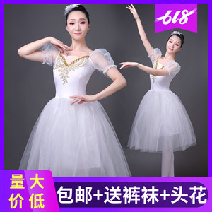 新款专业舞蹈纱裙芭蕾舞蓬蓬裙天鹅湖演出服成人泡泡袖芭蕾舞裙
