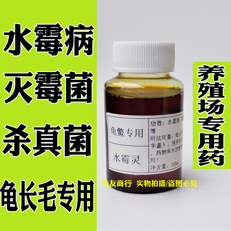 水霉灵龟鳖水霉病长白毛专用