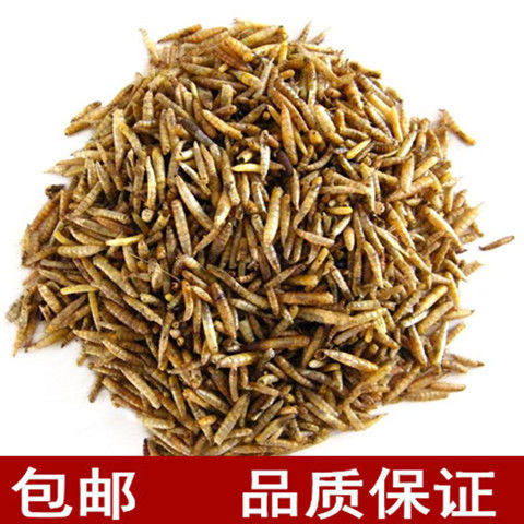 五谷虫干 蛆干鸟食蝇蛆虫干八哥白头翁画眉鸟饲料另有蝗虫干500克
