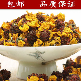 野生昆仑雪菊 新疆高寒 天山冰山 昆仑雪菊花
