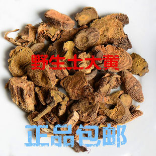 中药材野生土大黄正品牛耳大黄 羊蹄根 野大黄山大黄