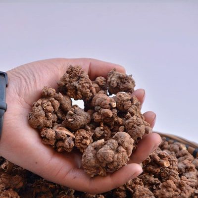 云南现收【龙葵果】甘来甄选