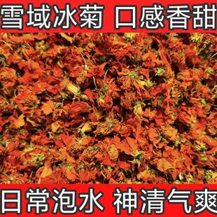 冰菊100克西域雪域冰菊帕米尔新疆高山天山野生雪菊胎甄选花香