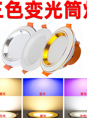 LED筒灯2.5寸3W调光射灯智能三色变光孔灯客厅书房卧室吊顶天花灯