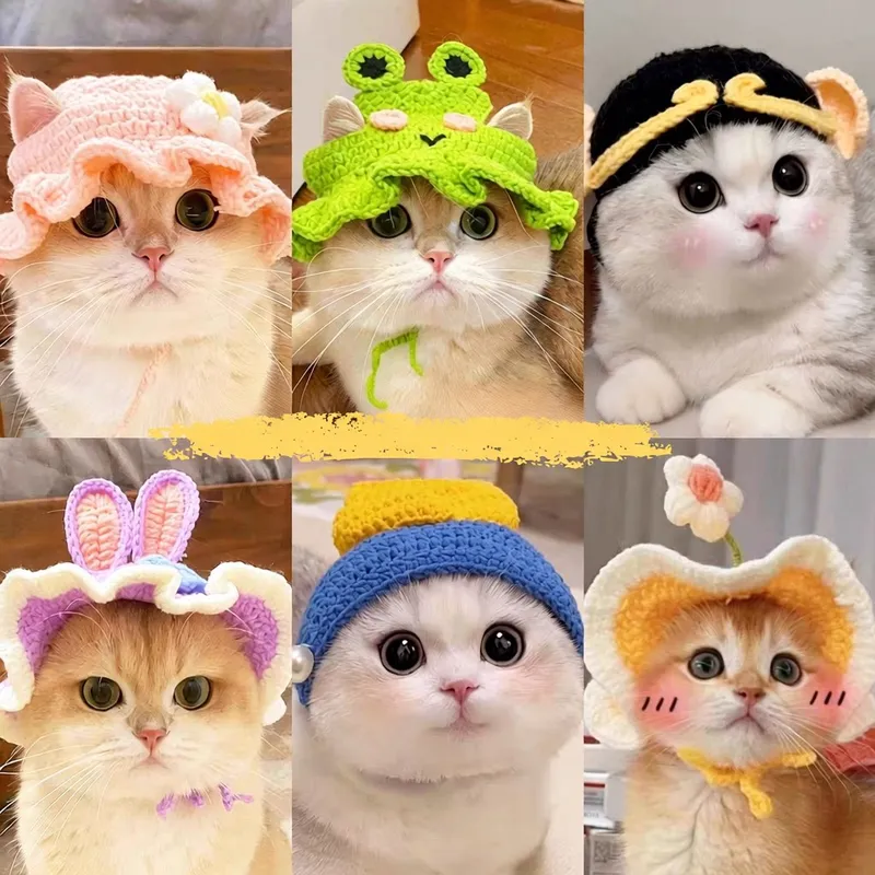 亚马逊宠物头套猫咪狗狗编织帽子帽子