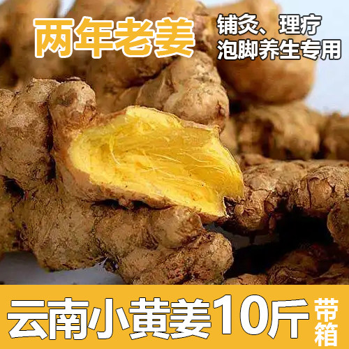 小黄姜食用新鲜云南正宗现挖