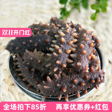 超高发倍海参青参辽参纯淡干四排刺刺多粗大靓货口感好Q弹靓货