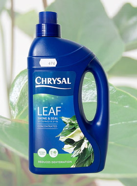 荷兰进口CHRYSAL可利鲜水性清洗剂（盆栽植物清洗用）