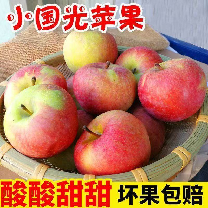 辽南小国光苹果5斤装包邮辽宁瓦房店果光东北特产新鲜酸甜水果,水产肉类/新鲜蔬果/熟食,苹果,淘宝优惠券,粉丝福利购,淘宝优惠卷