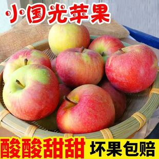 辽南小国光苹果5斤装包邮辽宁瓦房店果光东北特产新鲜酸甜水果