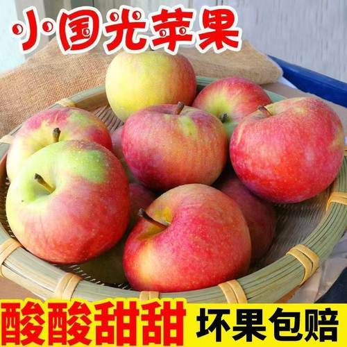 辽南小国光苹果5斤装包邮辽宁瓦房店果光东北特产新鲜酸甜水果