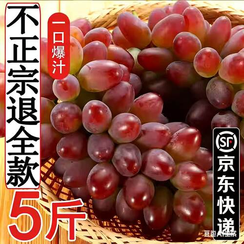 茉莉香葡萄新鲜无籽香甜提子当季玫瑰香水果整箱顺丰包邮5斤