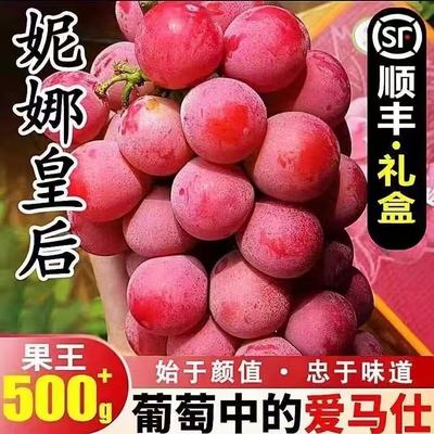 正宗妮娜皇后葡萄无籽罗马红宝石红提新鲜提子女皇尼娜公主鲜果