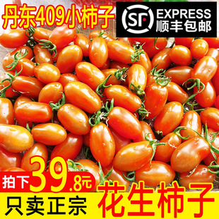 丹东409花生小柿子非千禧圣女果孕妇新鲜自然熟水果花生小番茄5斤