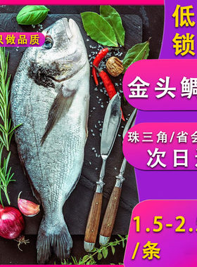 新鲜金头鲷鱼冰鲜冷冻刺身加吉鱼